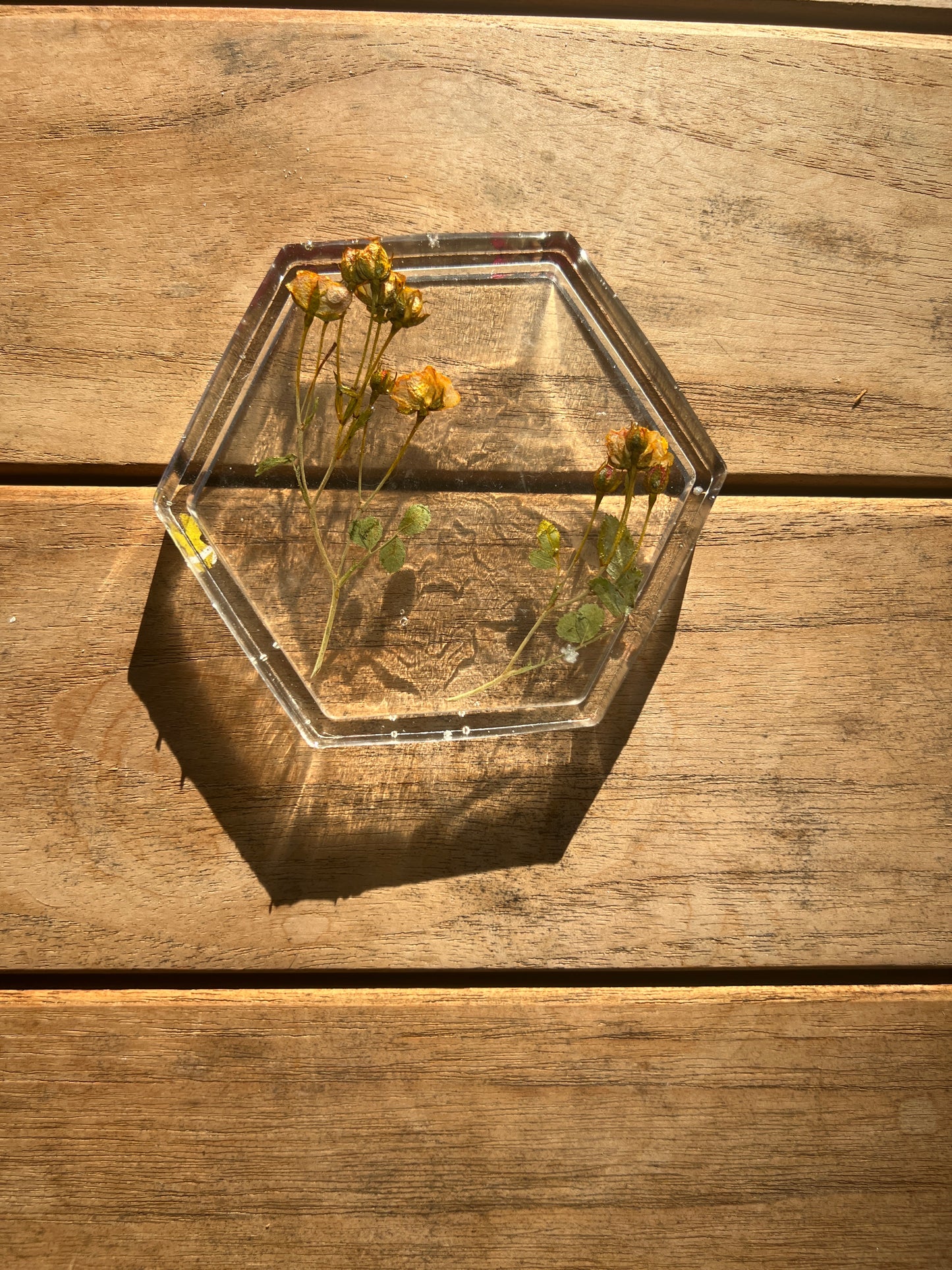 Field blossom