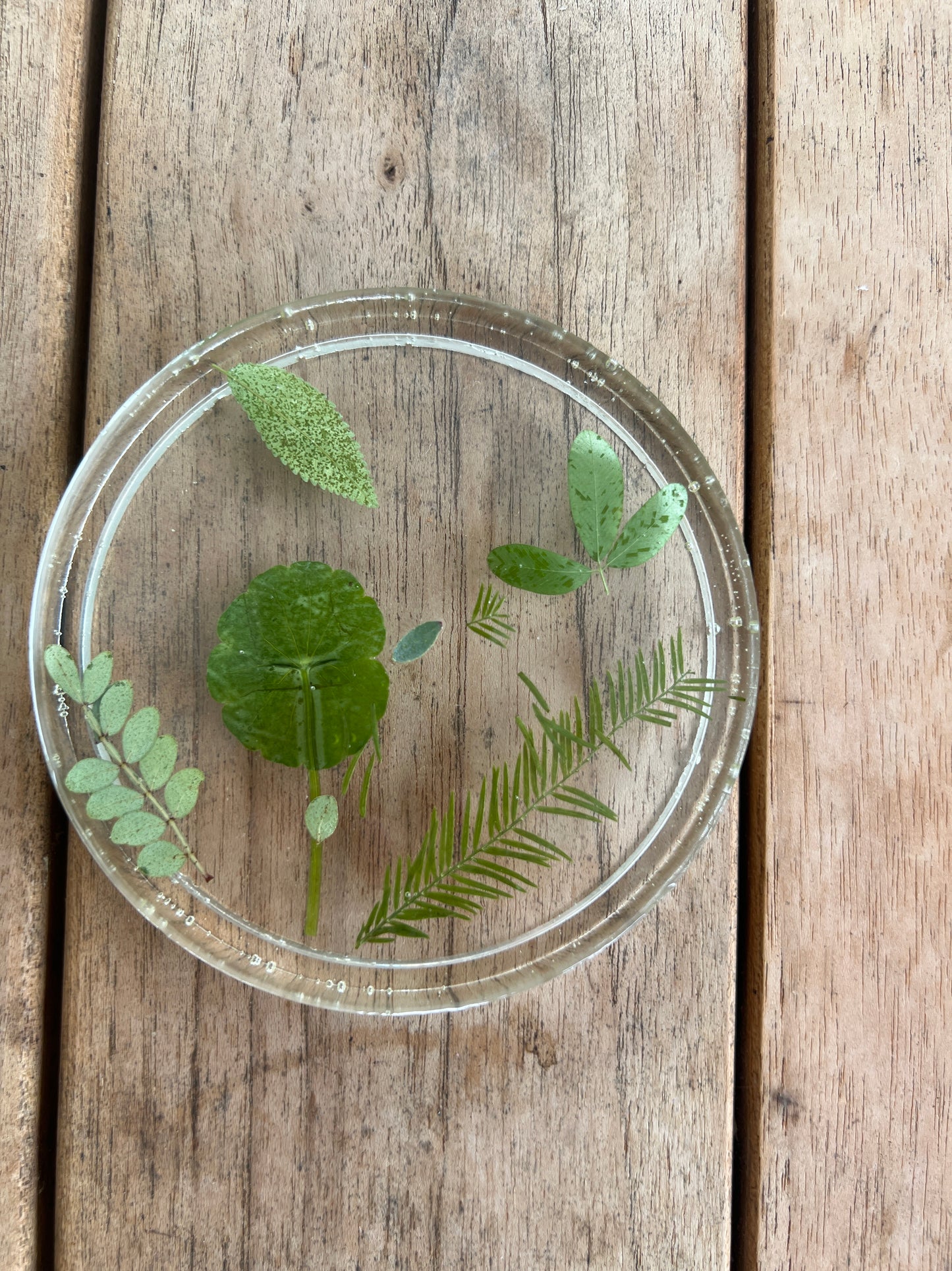 Flower pressed resin coaster